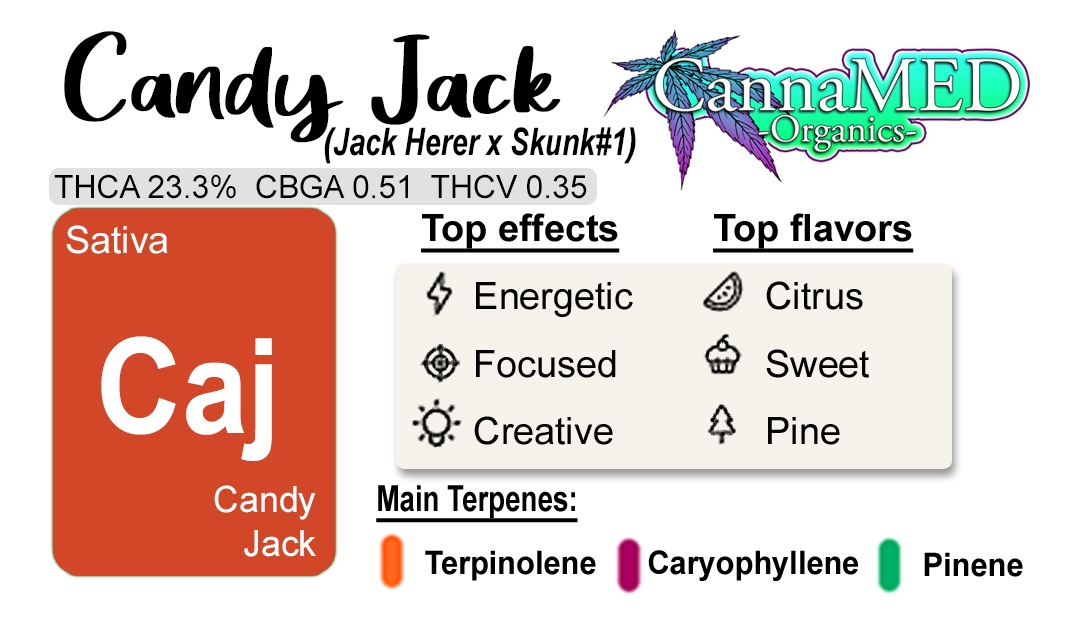 Candy Jack / 3.5g